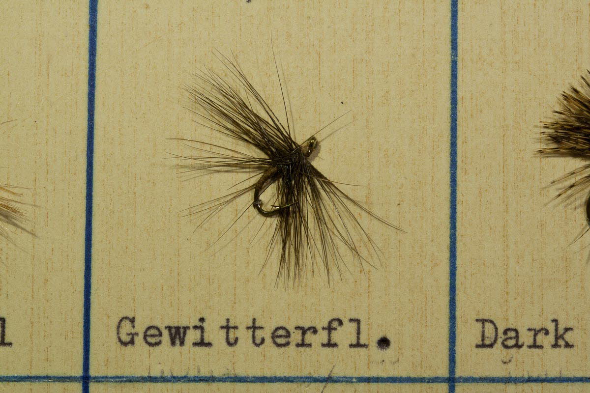 Gewitterfliege