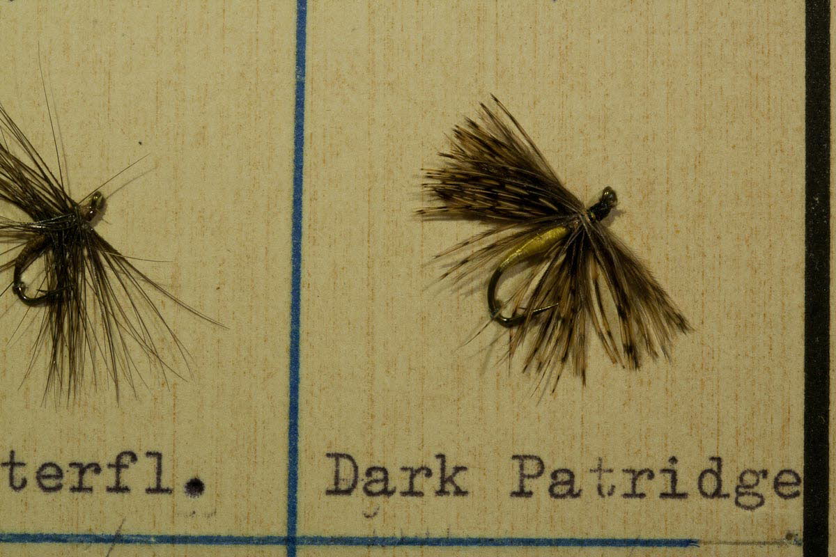 Dark Partridge