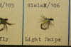 Light Snipe