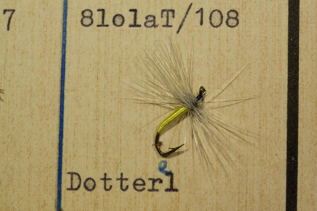 Dotterl