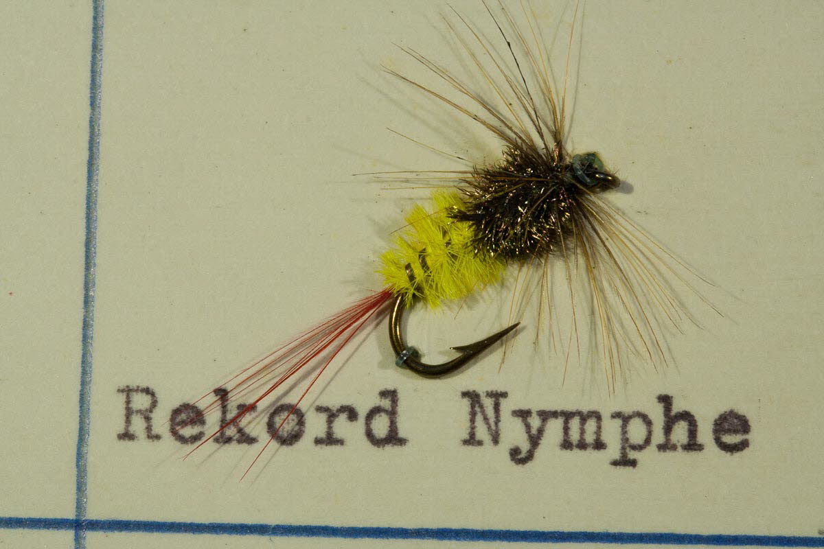Rekord Nymphe
