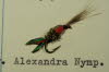 Alexandra Nymphe