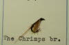 The Chrimps brown