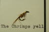 The Chrimps yellow