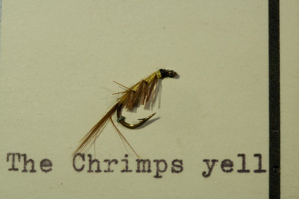 The Chrimps yellow