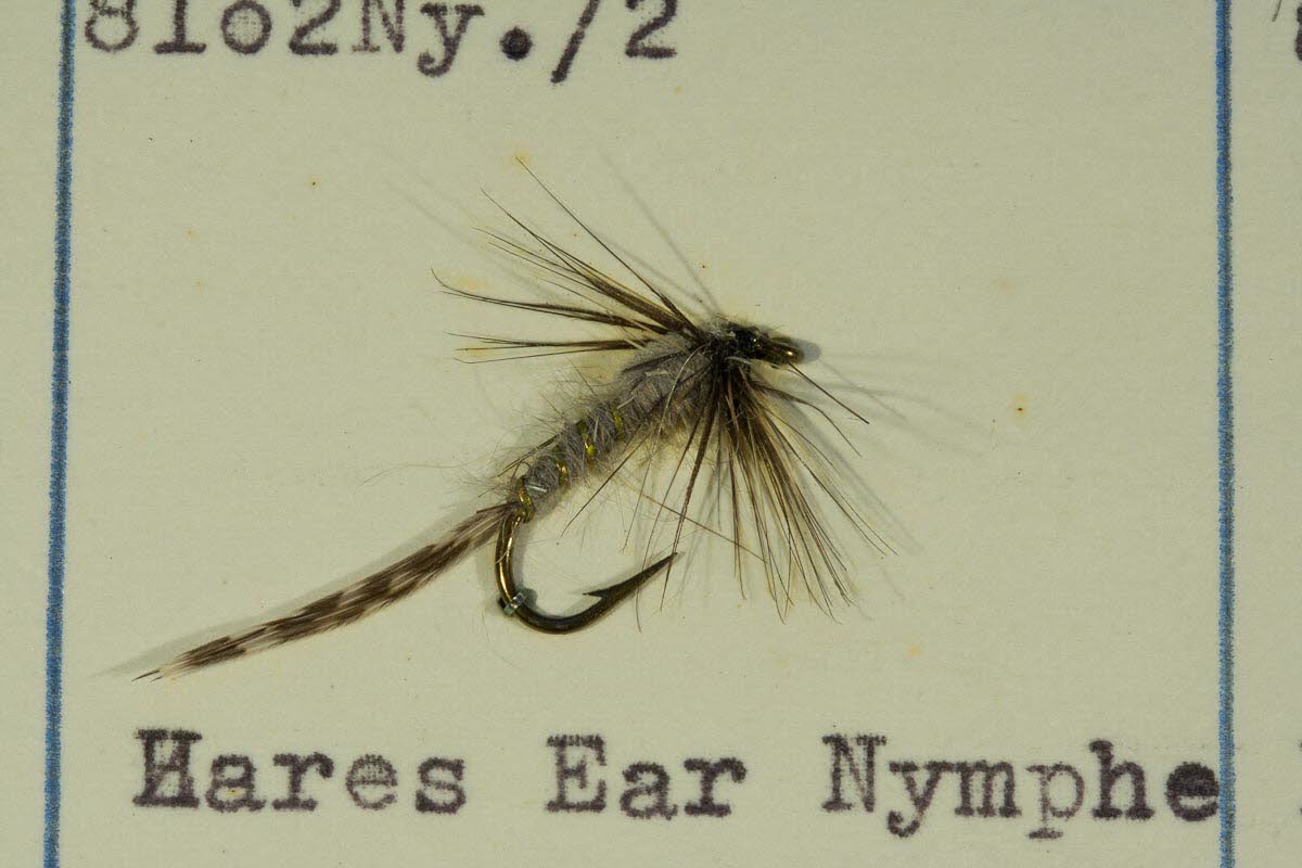Hare's Ear Nymphe