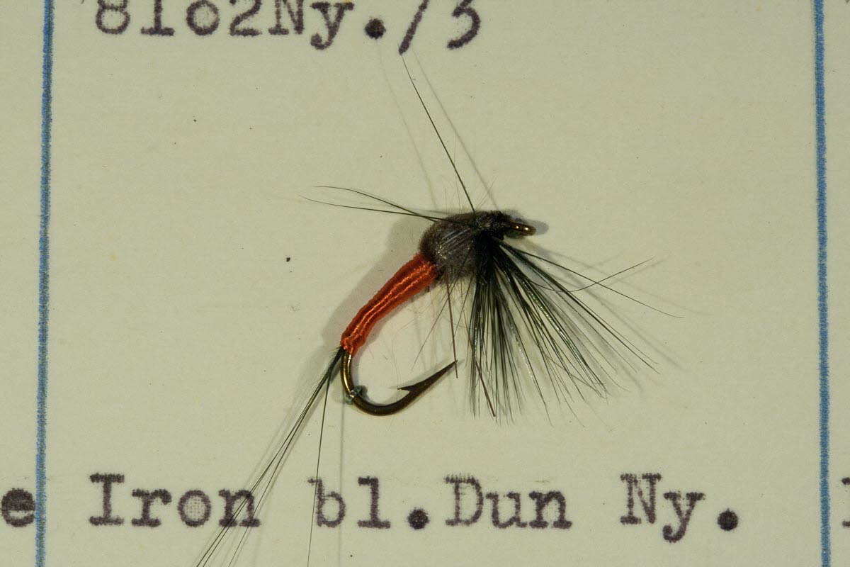 Iron Blue Dun Nymphe