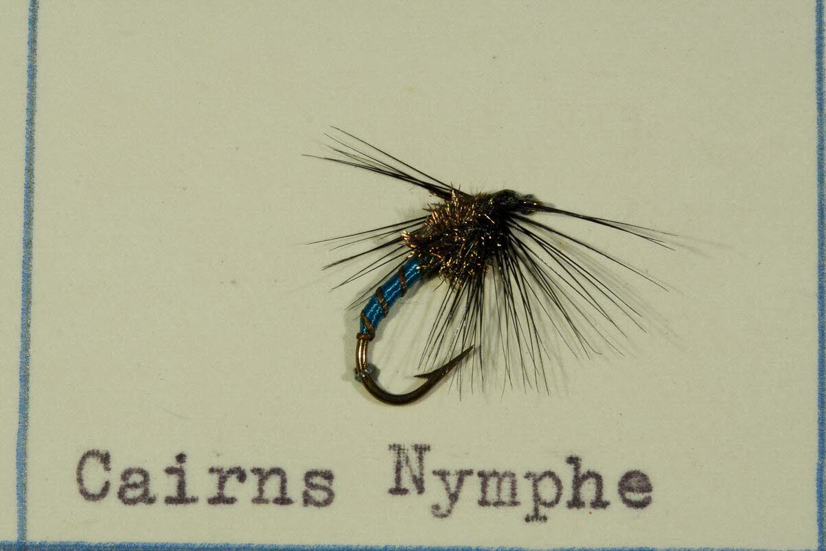 Cairns Nymphe