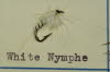 White Nymphe