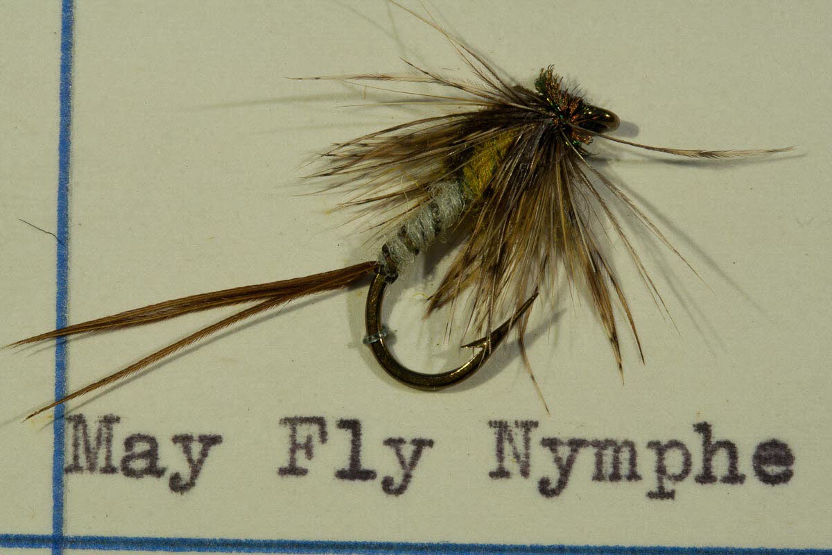 May Fly Nymph