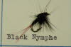 Black Nymph