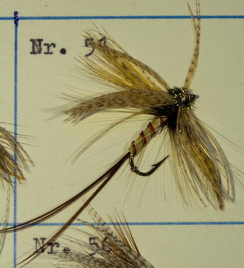 Nr. 51