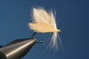 Baxmann �schenfliege 2
