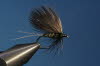 Baxmannfliege nach Borne