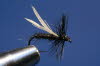Black Gnat - schwarze M�cke