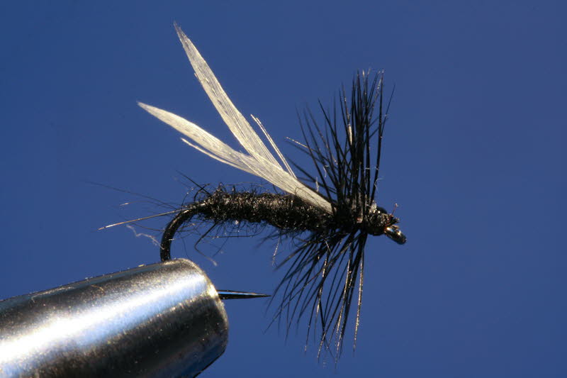 Black Gnat - schwarze M�cke
