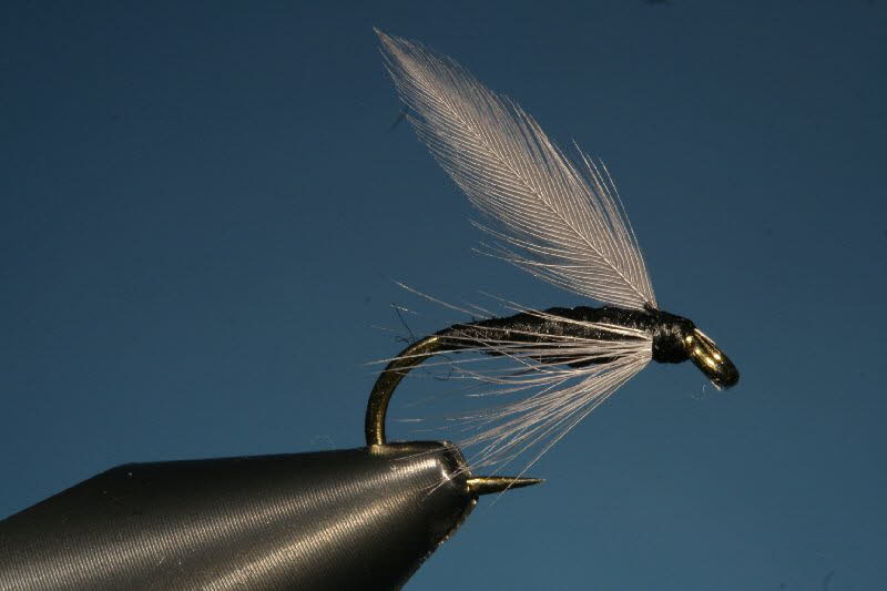20. BlackGnat