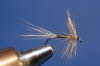 Blue Quill