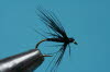Schwarze Spinne