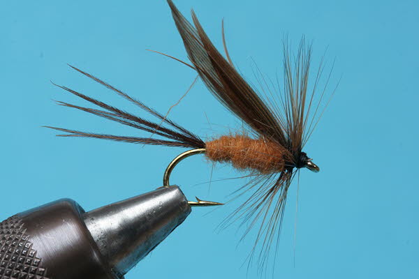 Ziegenfliege (Schneiders Aitelfliege)