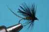 Baxmanns Fliege
