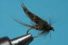 Hasenl�ffel oder Hasenohrfliege