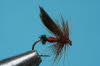 Rote und schwarze Ameise