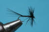 �schenspinner