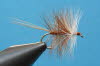 Brown Bivisible