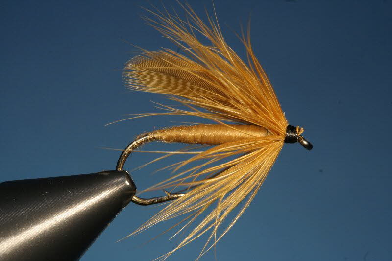 40. The Cinnamon Fly