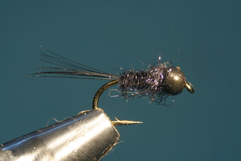 French Nymph 11