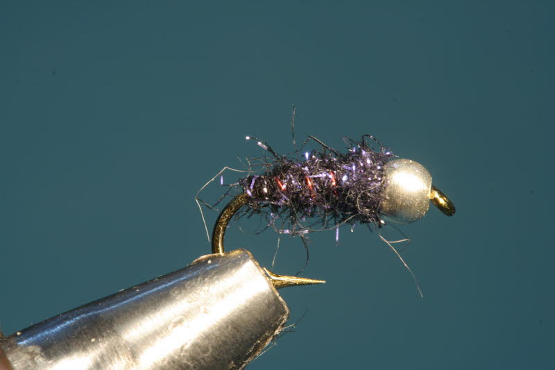 French Nymph 14
