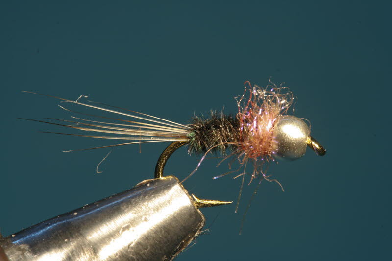 French Nymph 15
