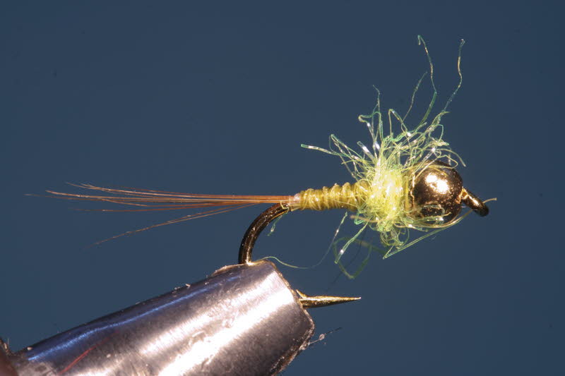 French Nymph 1