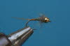 French Nymph 60