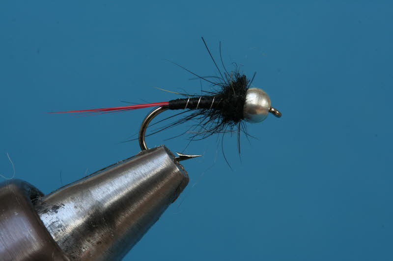 French Nymph 63