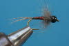 French Nymph 72