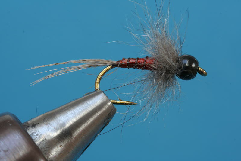 French Nymph 72