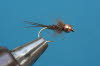 French Nymph 73
