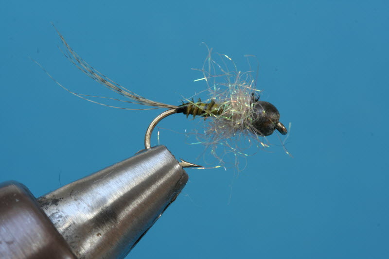 FrenchNymph 75