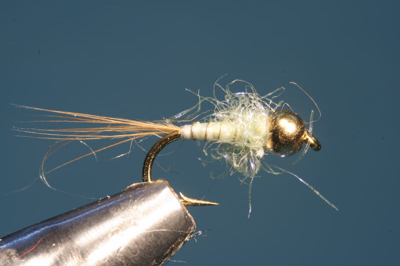 French Nymph 7