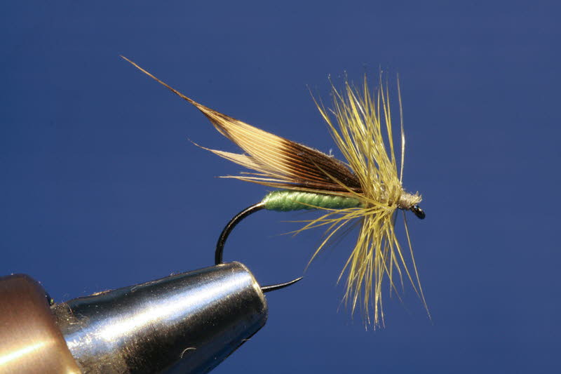 GreenCaddis
