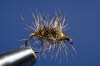 Griffith Gnat