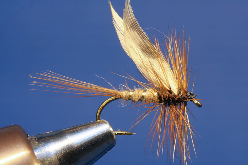 March Brown - M�rzbraune