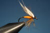 39. Orange Fly