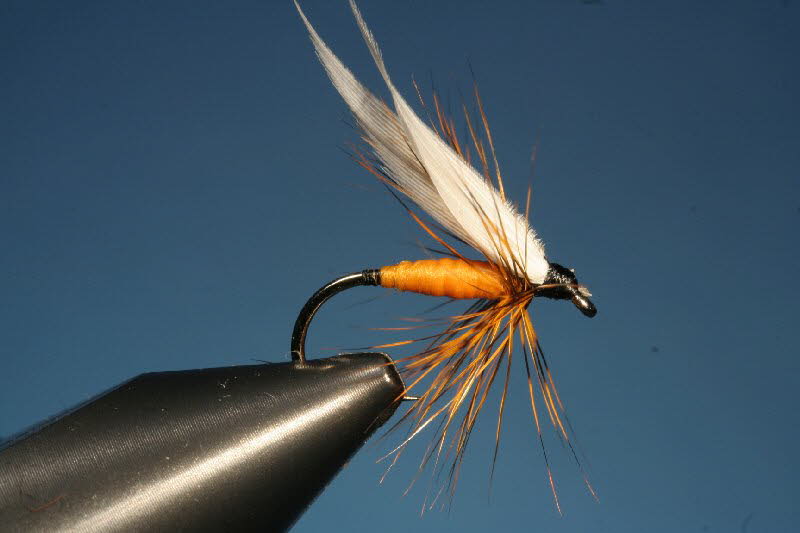 39. Orange Fly