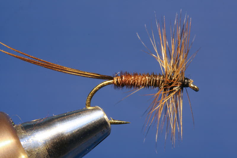 Pheasant Tail 