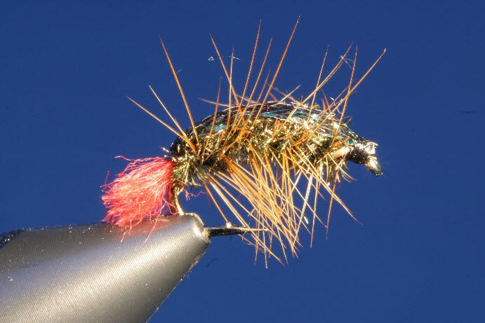 Czech Nymph - Red Tag