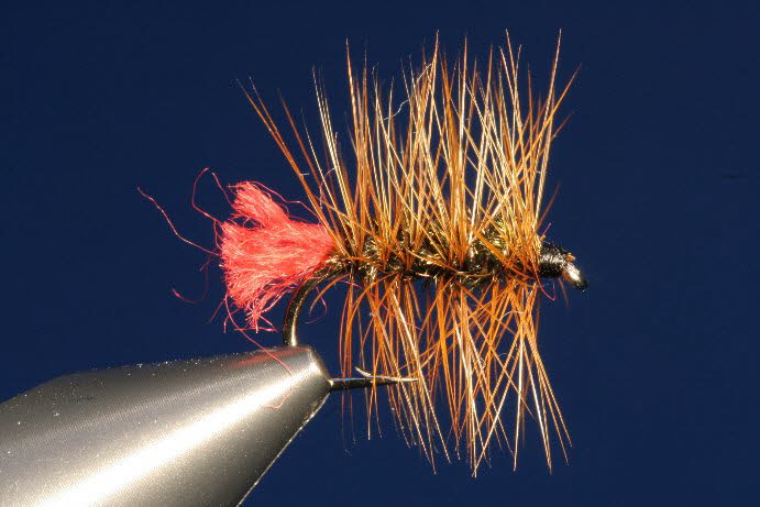 RedTag Palmer