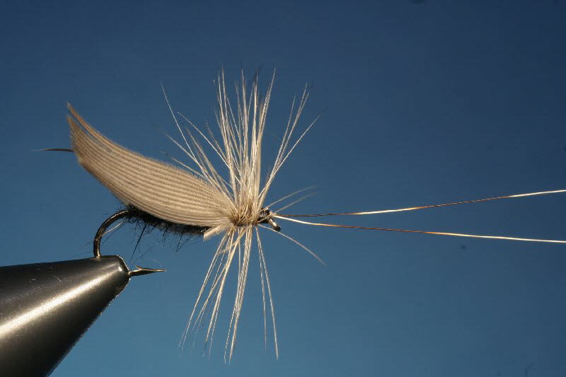 37. The Silver Horn (Black Silver Twist)